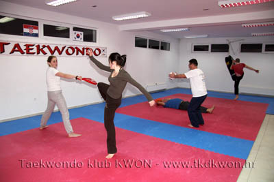 taekwondo kwon training